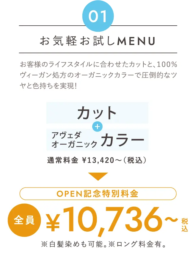 お気軽お試しMenu お客様のライフスタイルに合わせたカットと、１００％ヴィーガン処方のオーガニックカラーで圧倒的なツヤと色持ちを実現！「カット」+「アヴェダオーガニックカラー」通常料金 ¥13,420～（税込）→Open記念特別料金 全員 ¥10,736～税込 ※白髪染めも可能。※ロング料金有。