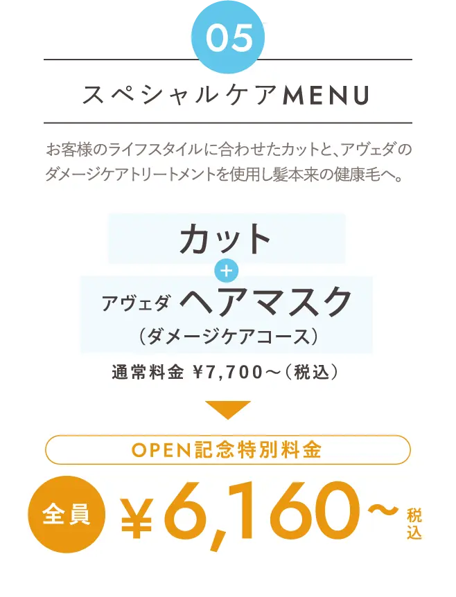 スペシャルケアMenu お客様のライフスタイルに合わせたカットと、アヴェダのダメージケアトリートメントを使用し髪本来の健康毛へ。「カット」+「アヴェダヘアマスク（ダメージケアコース）」通常料金 ¥７,７００～（税込）→Open記念特別料金 全員 ¥６,１６０～税込